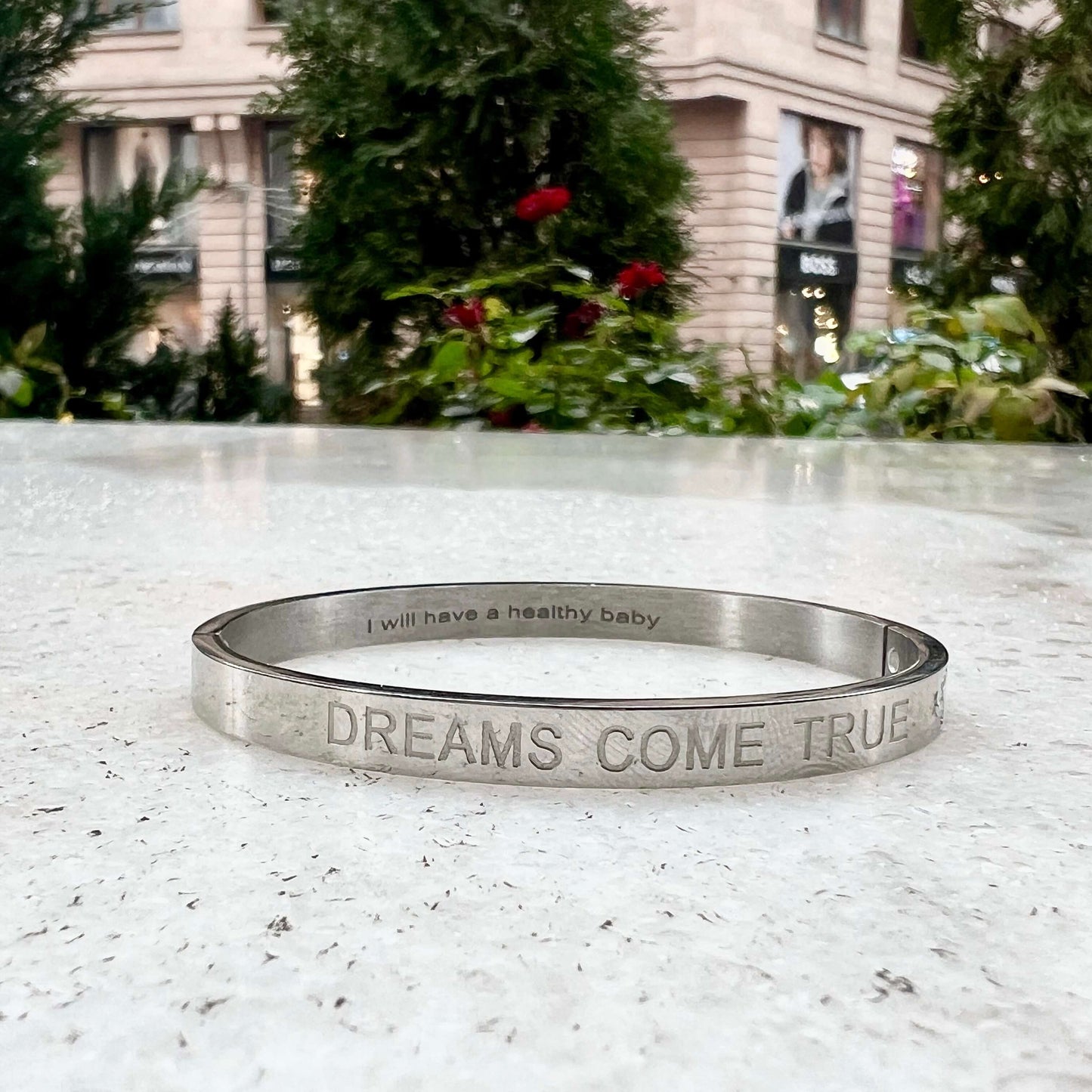 Dreams Come True silver